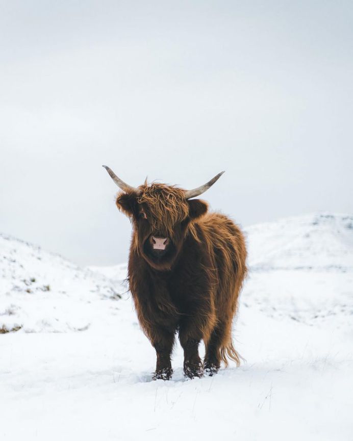 Winter Wonderland in Norway: Landscape Photography by Steffen Fossbakk
