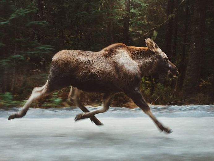 Spectacular Adventure and Outdoor Photography by Forrest Mankins