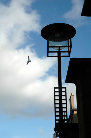 The Mac Photographic Archive #mac