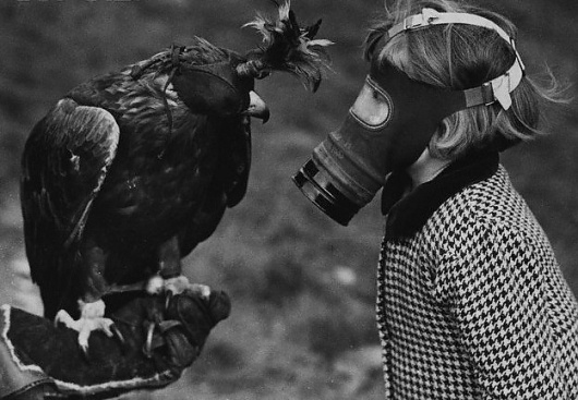 DeadFix #vulture #child #bird