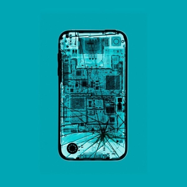 X-Ray Photography by David Arky #inspiration #photography #ray