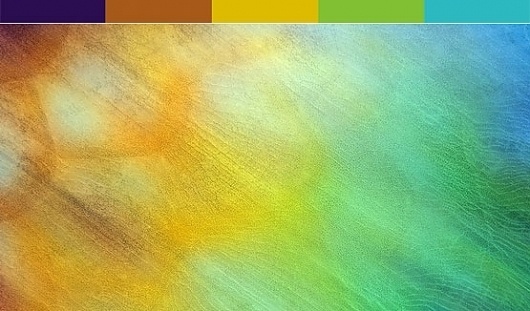 Business Blog / A Fantastic Look At The Amazing Colors Under the Sea by COLOURlovers :: COLOURlovers #fish #color #sea #underwater #neon