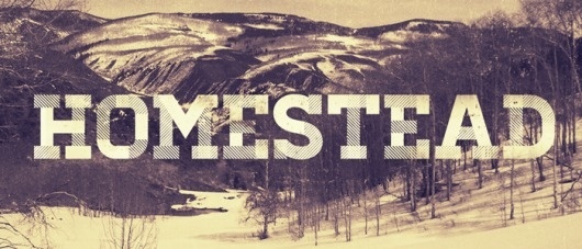 Lost Type Co-op | Homestead #font #type #lost #homestead