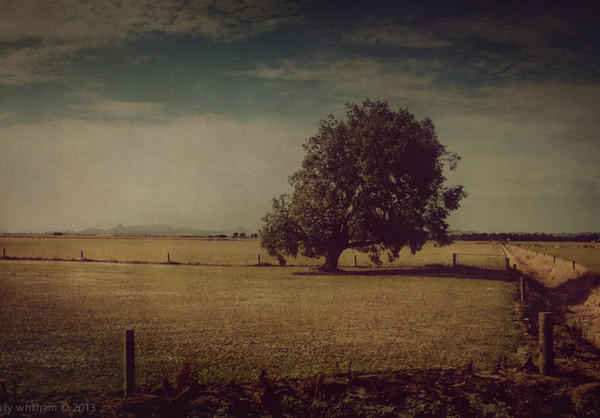 Photography by Cally Whitham #inspration #photography #art