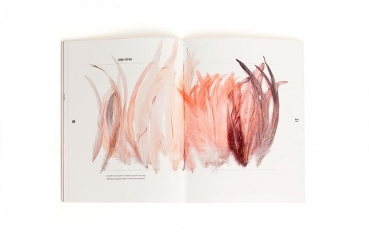 Collate #book #feather
