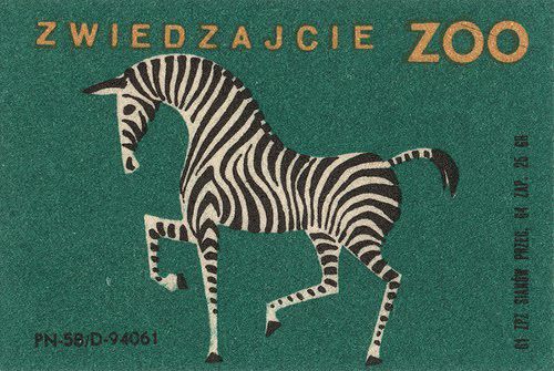 Animalarium: Sunday Safari - Striking Stripes
