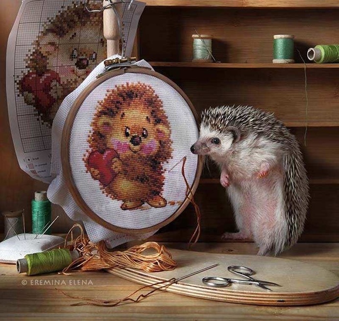 Elena Eremina Captures The Secret Life Of Hamsters
