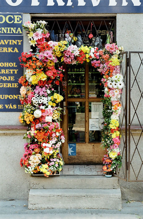 HH+HH #flowers #set