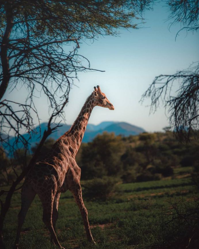 Stunning Landscape and Adventure Photography by Paul Hanninen
