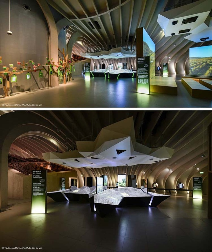Wine Theme Park in France