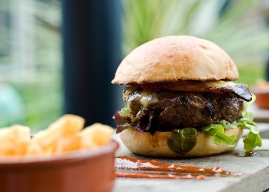 The Burger Adventure #tba #burger #adventure #health #food #yum