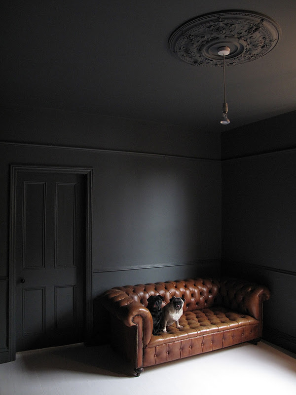 B L O O D A N D C H A M P A G N E #sofa #pug #black #chesterfield #room #dog