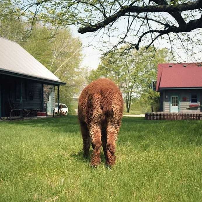 Housebroken by Areca Roe #inspiration #photography #art