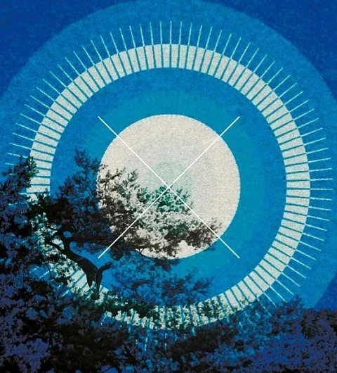 Flickr: Your Photostream #tree #night #illustration #nature #star