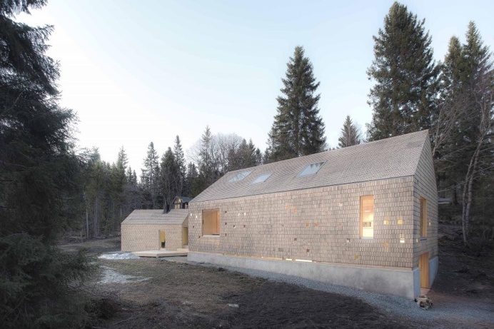 Modern Wooden Family House