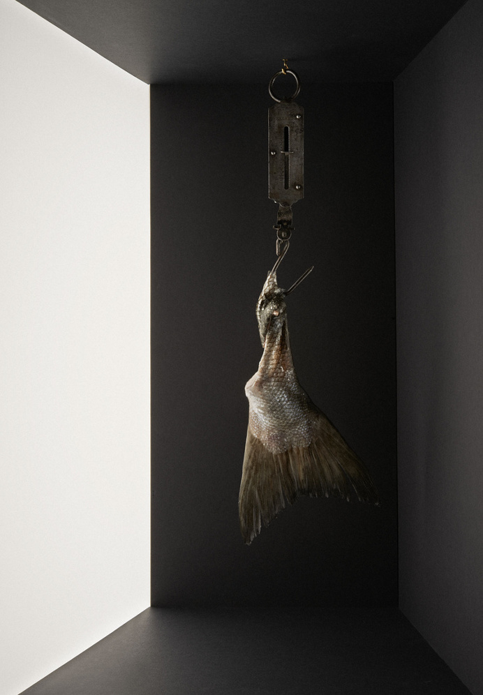 : LUNDLUND : : : NIKLAS HANSEN