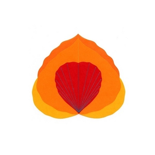 All sizes | Vellum | 03.02.11 | Flickr - Photo Sharing! #craft #art #vagina