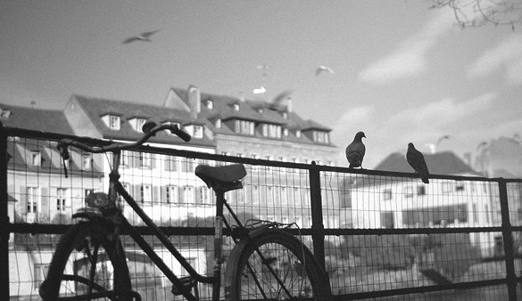 #cinemagraph