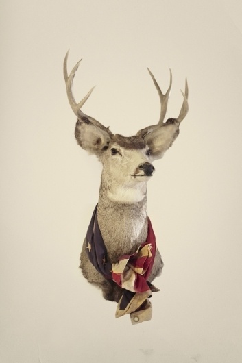 sfgirlbybay / bohemian modern style from a san francisco girl / page 4 #animal