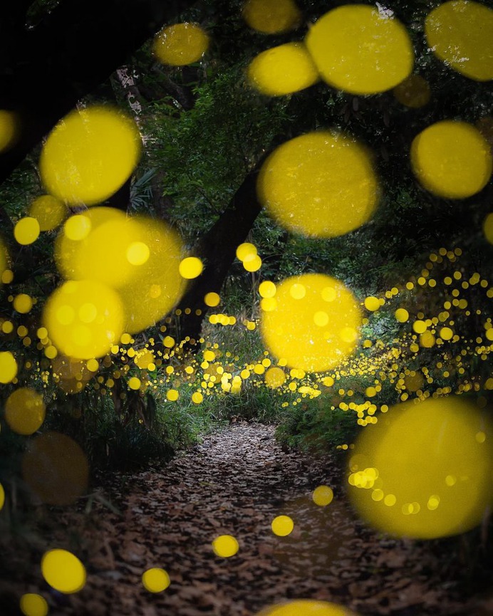 Beautiful Landscape Photography in Japan by Mitsuki Koyama
