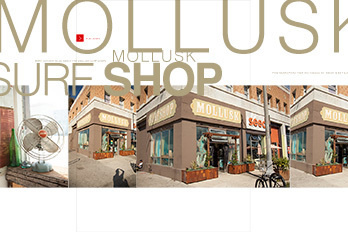 EDITION29 #ipad #design #mollusk #surf