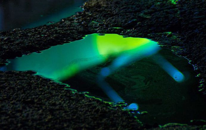 Wet Neon: Magical Reflections In Street Puddles by Slava Semeniuta