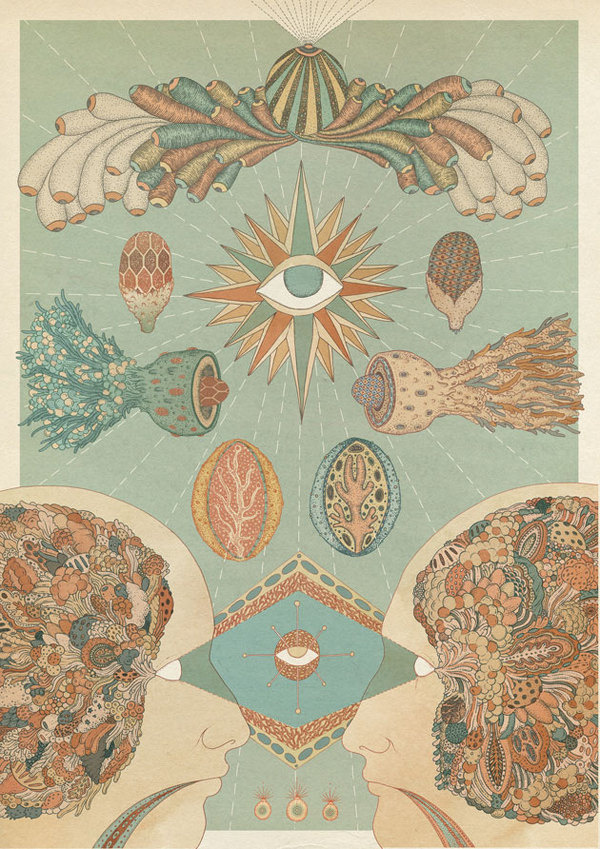 Vision anatomy illustration by Katie Scott #illustration