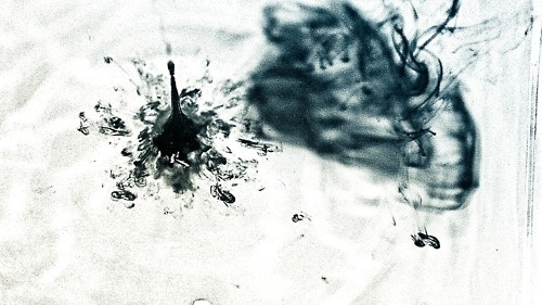 |)E$1GN - ²°'' #ink #white #motion #black #drop #bw
