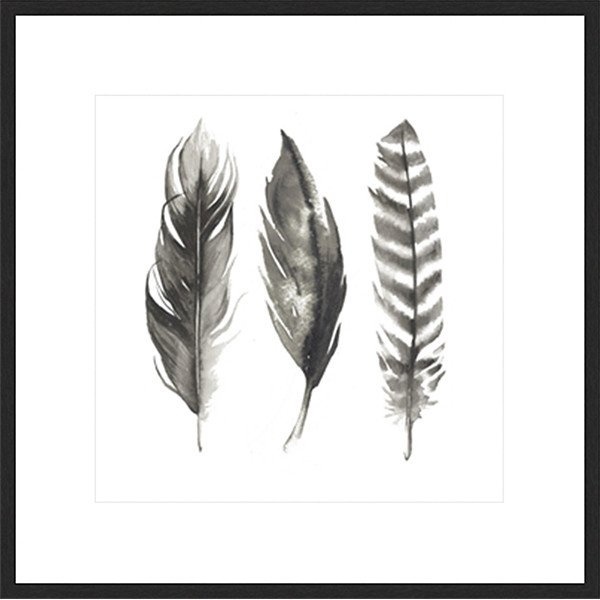 Framed Print 'Water Colour Feathers I' 50cm x 50cm