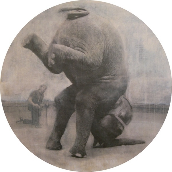 3855823_large.jpg (изображение «JPEG», 600 × 600 пикселов) #elephant