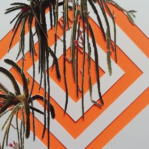 Stephen Eichhorn | PICDIT #collage #art