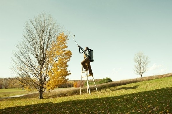 Zack Seckler #inspiration #photography #humor