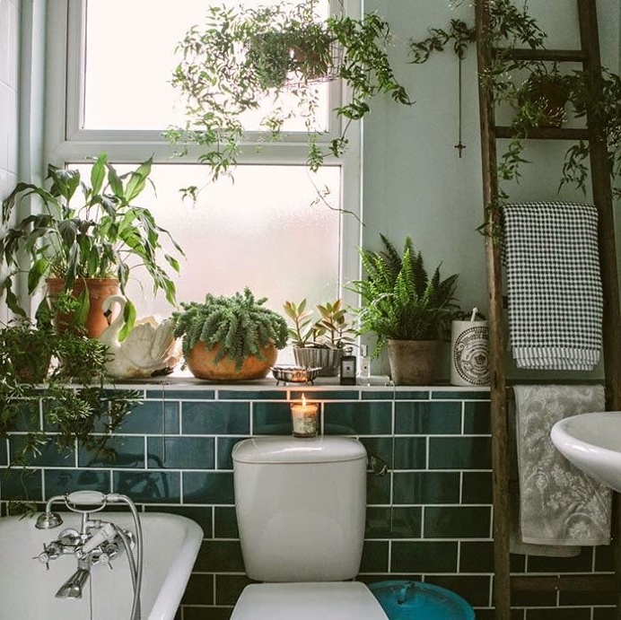 #bathroom #plants #vegetation