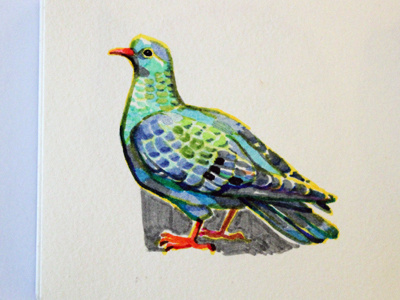Pigeon #illustration #art #bird #clothes #shirt #wear #hand #drawing