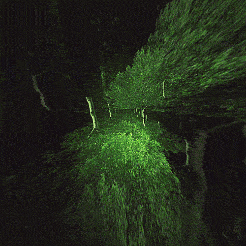 Trees, infinite, loop