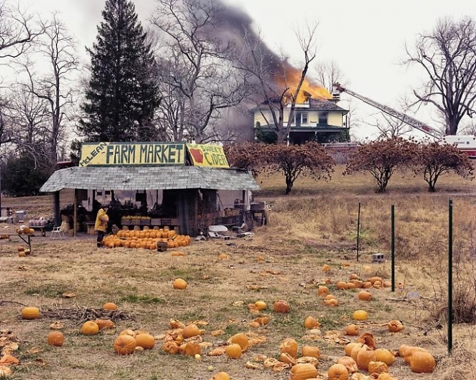 joel sternfeld
