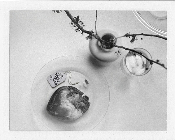 112 | Flickr - Photo Sharing! #text #white #black #polaroid