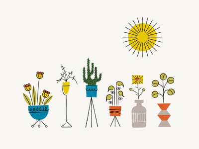 Plants