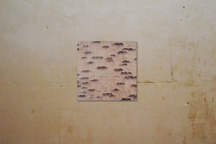 birch tree, birch bark, plywood, printing on wood