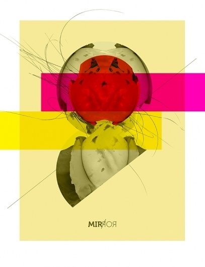 MIR/ROR : João Travessa #print #design