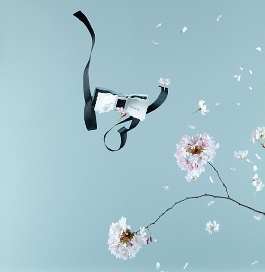 The Cloud Factory | Because Magazine #neugebauer #ijff #book #marlies #carla #flower #spring #booklet #bow #tie