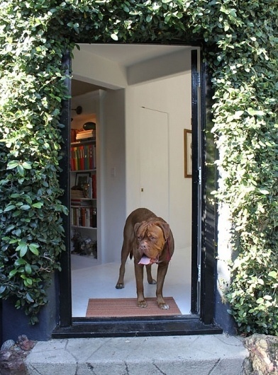 puppy #19th #60s #meets #doorway #italian #century #50s #antique #dog