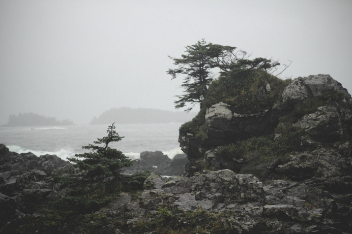 #Photography #Travel #Pacific #Northwest #Canada #Coast #Nature #50mm #VSCO