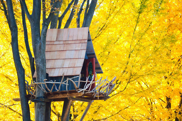 Treehouse Surrounded By Yellow, Tokyo, Japan #treehouse