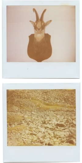 home. alberto sinigaglia photographer. #mountain #photography #polaroid