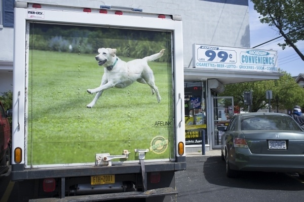 tumblr_m2n3x1pHv41qa782vo1_1280.jpg 1,280×850 pixels #dog