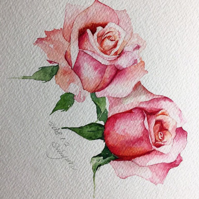 Watercolor Roses