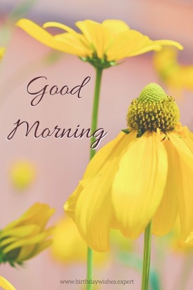 Fresh Start : Good Morning Pictures - Good Morning