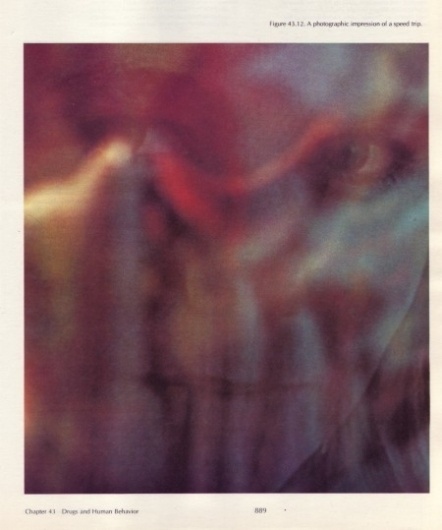 Biology Today 1972 » ISO50 Blog – The Blog of Scott Hansen (Tycho / ISO50) #photography #biology