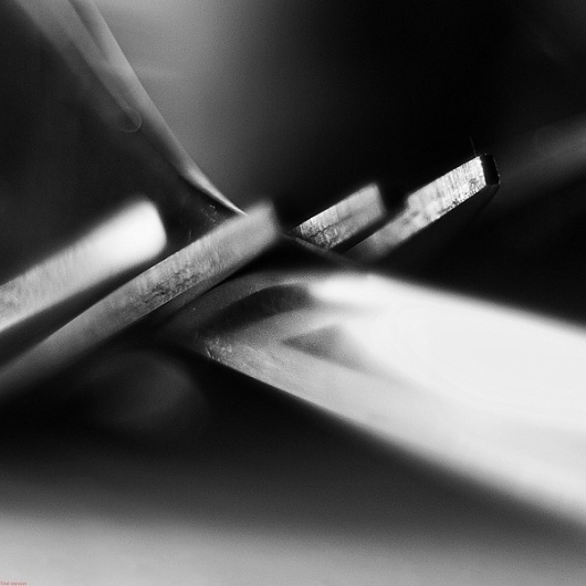 Fork on Photography Served #photography #fork